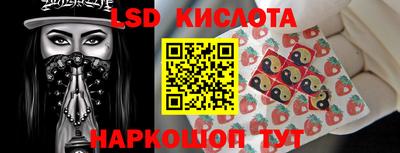 прущие грибы Волгодонск