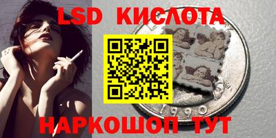 прущие грибы Волгодонск