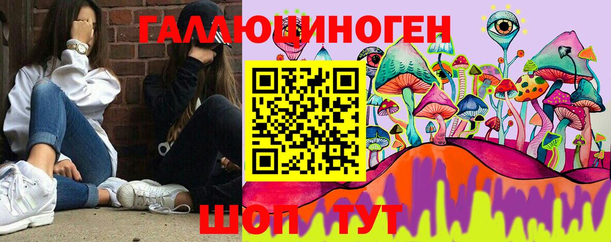 наркошоп  Псилоцибиновые грибы MAGIC MUSHROOMS  Белогорск  Вход с VPN  Псилоцибиновые грибы Cubensis 