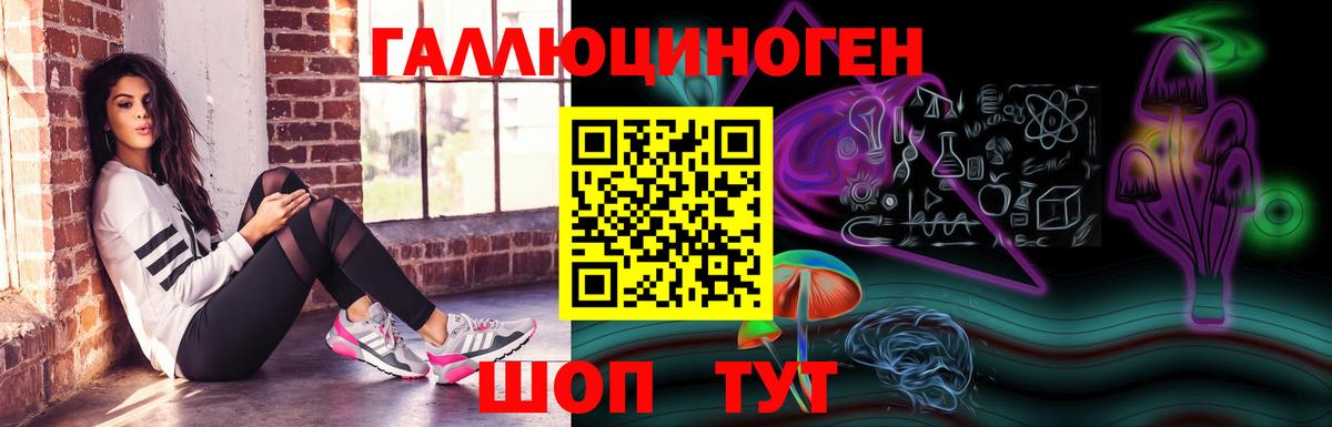 Галлюциногенные грибы Psilocybe Белогорск